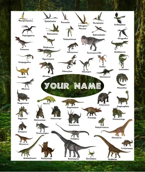 InstaCozy Personalized Dino Blanket My product bases