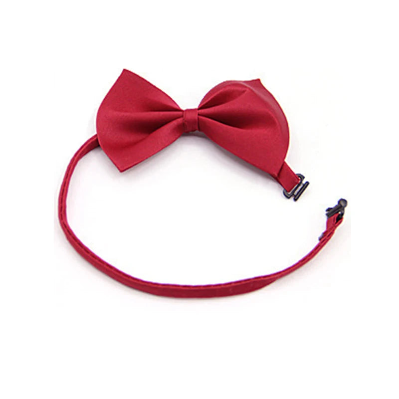 PawshProper Bowtie for your pet