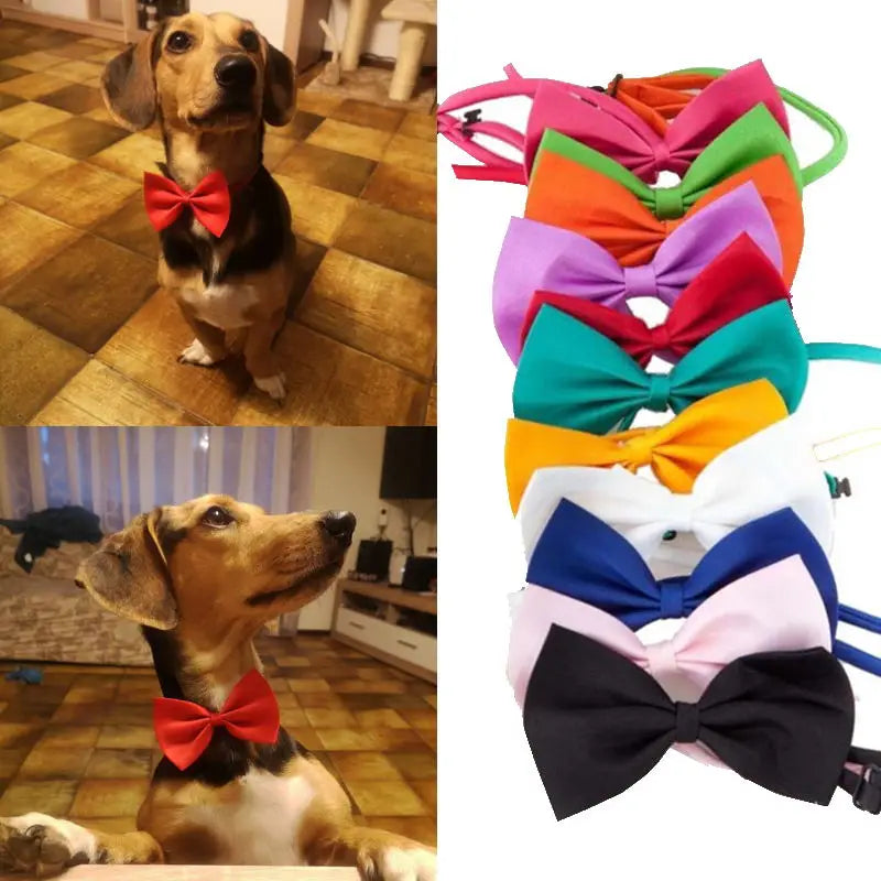 PawshProper Bowtie for your pet