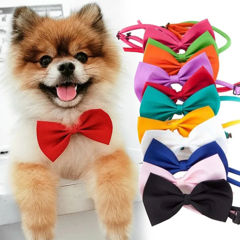 PawshProper Bowtie for your pet