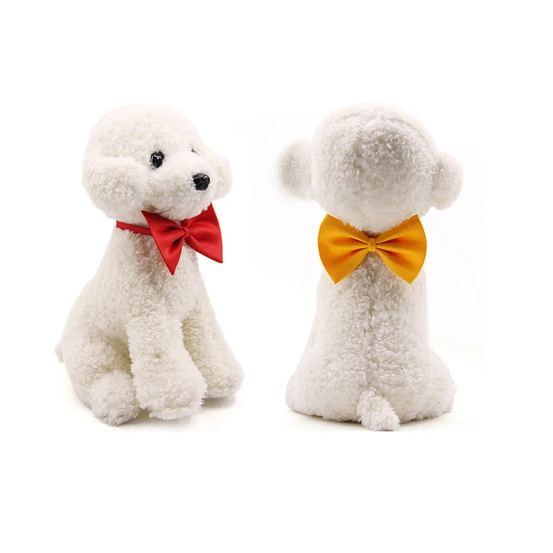 PawshProper Bowtie for your pet