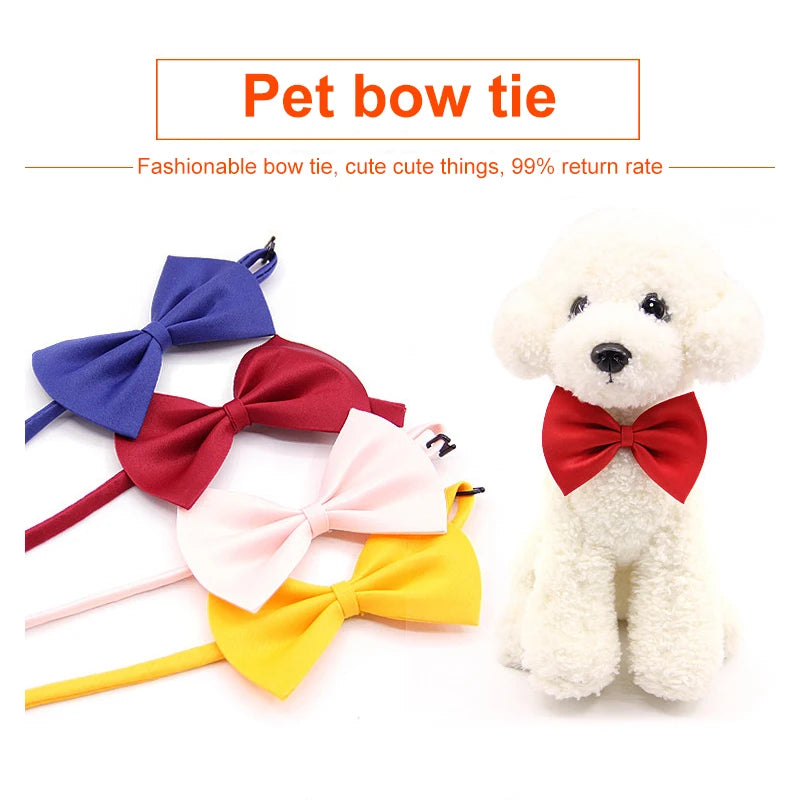 PawshProper Bowtie for your pet