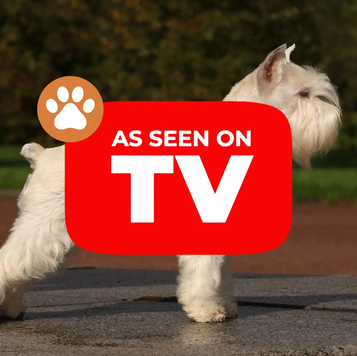 Pet-Essentials-AUTO KEIKO