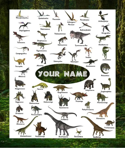 InstaCozy Personalized Dino Blanket My product bases