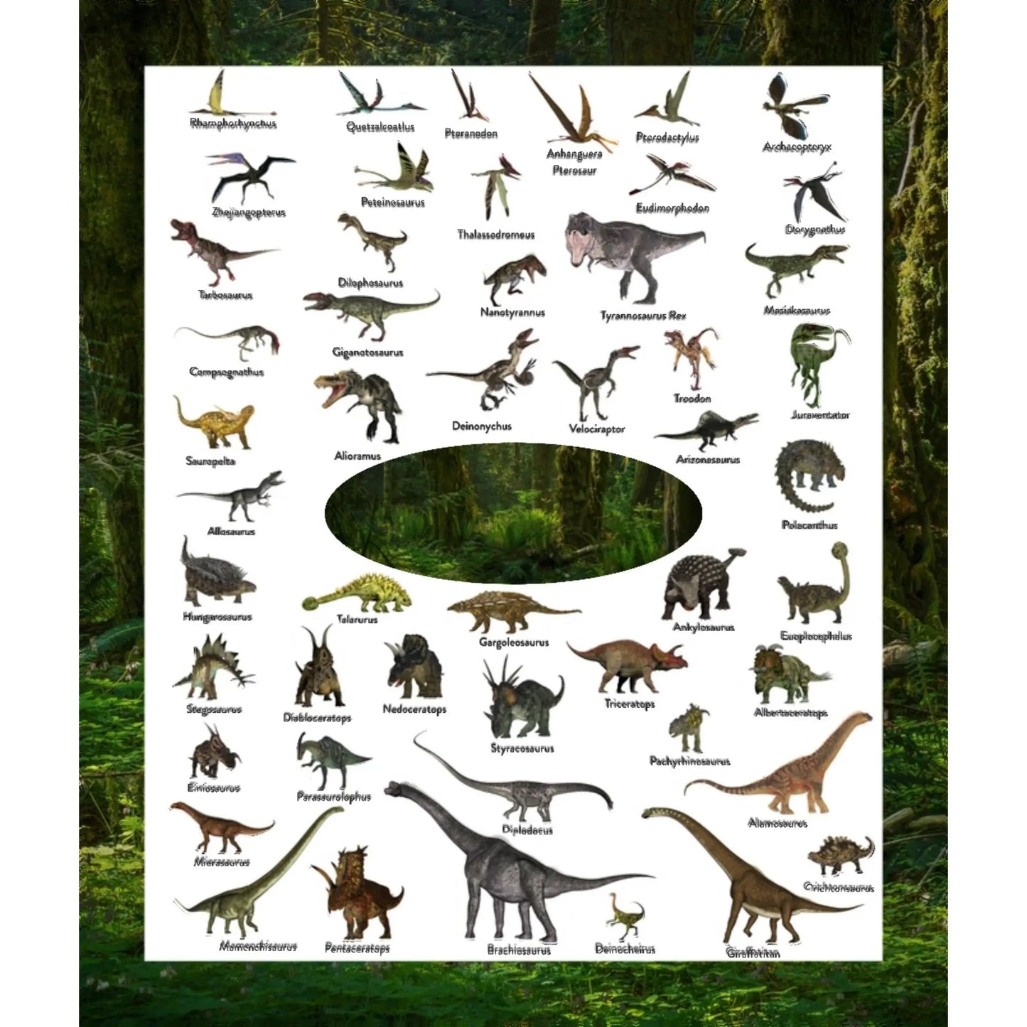 InstaCozy Personalized Dino Blanket My product bases