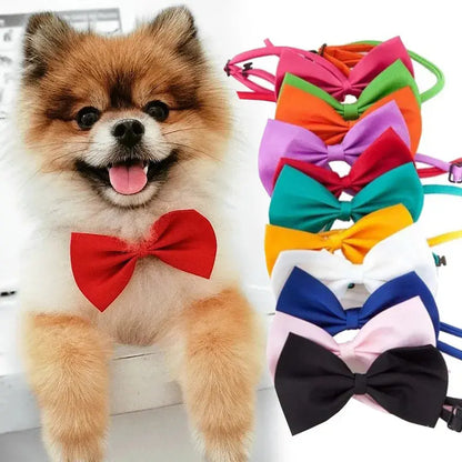 PawshProper Bowtie for your pet KEIKO