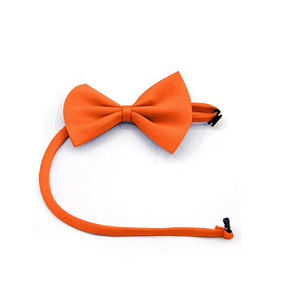 PawshProper Bowtie for your pet KEIKO