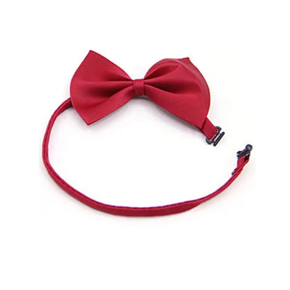PawshProper Bowtie for your pet KEIKO