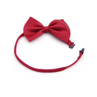 PawshProper Bowtie for your pet
