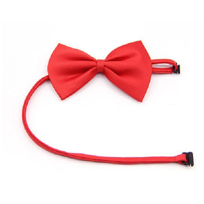 PawshProper Bowtie for your pet