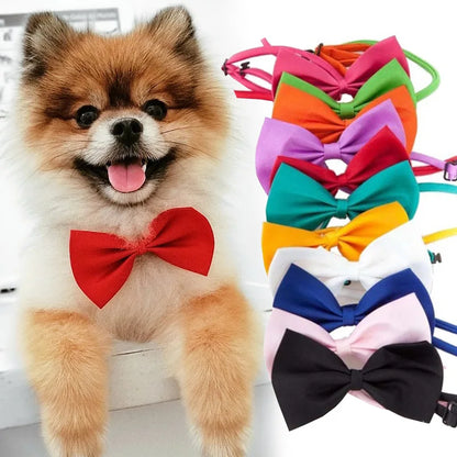 PawshProper Bowtie for your pet