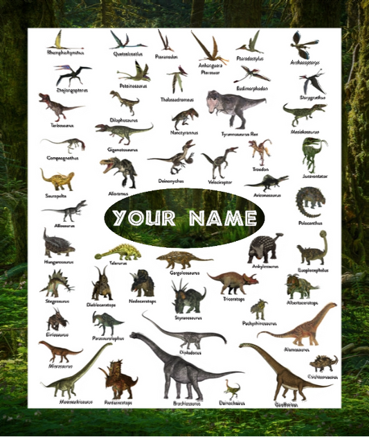 InstaCozy Personalized Dino Blanket