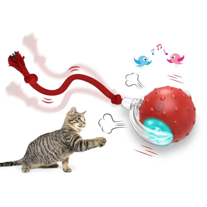 Super Drive Interactive Rolling Ball For Cats KEIKO