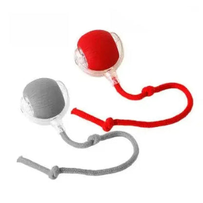 Super Drive Interactive Rolling Ball For Cats KEIKO